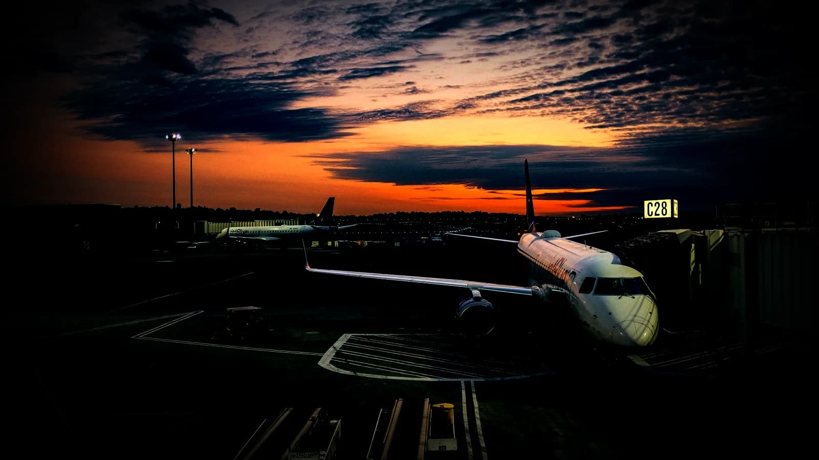 Travel software development